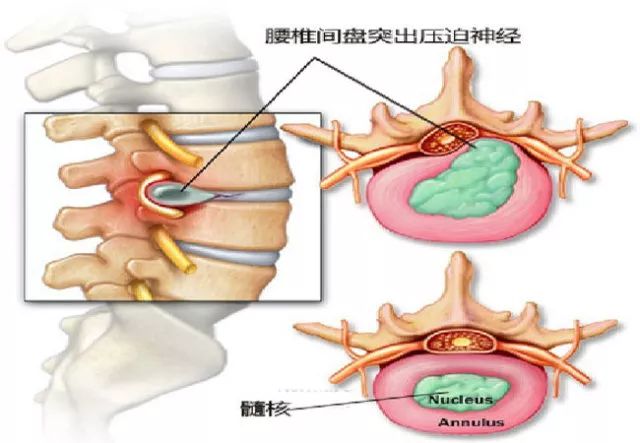 微信图片_20190509082752.jpg