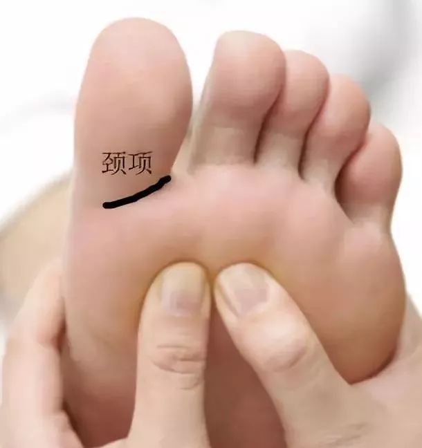 微信图片_20190516101317.jpg