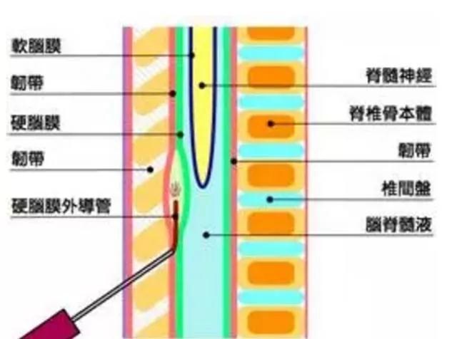 微信图片_20190905090607.jpg