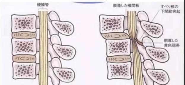 微信图片_20190905090559.jpg